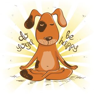 dog doing yoga