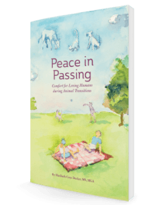 Peace in Passing Cover 3D