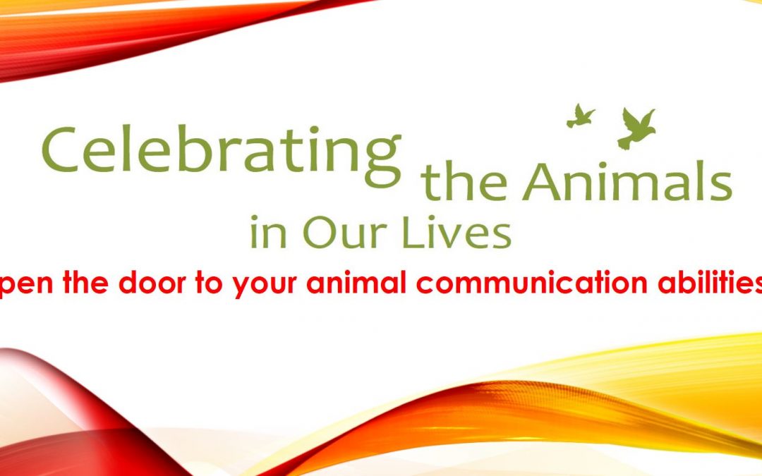 Celebrating the Animals in Our Lives