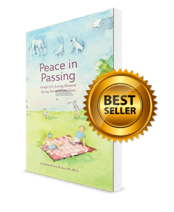 Peace in Passing Cover 3D Best Seller