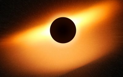 Do eclipses drive animals wild?