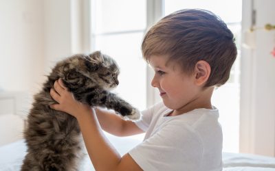 Picture it – an animal communicator in every family!