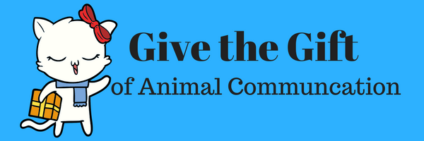 Give The Gift Of Animal Communication 2