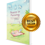 Peace in Passing Cover 3D Best Seller 3