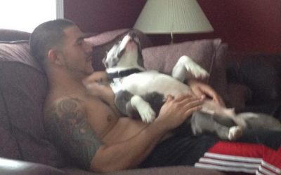 Remember when you put your pet down?