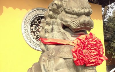 It’s the Year of the Dog!