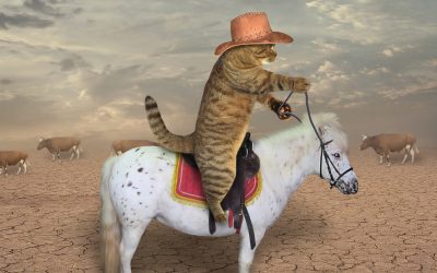 The downside of doing animal communication