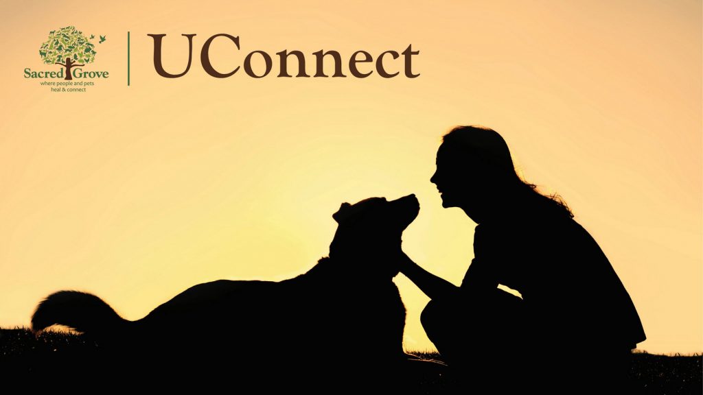 UConnect woman and dog looking at each other lovingly