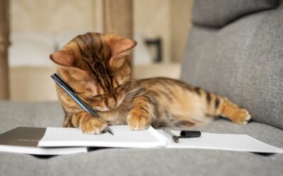 A Letter from Your Cat