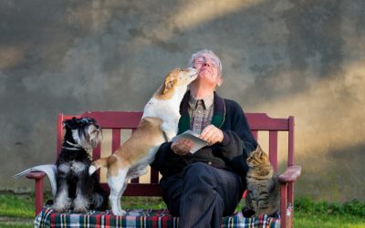 The Healing Power of Pets