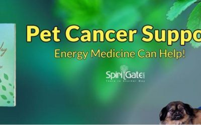 Energy Healing for Pets with Cancer