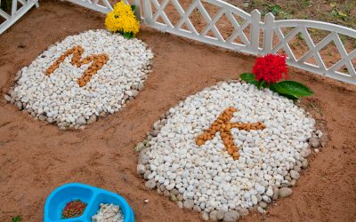 5 Ways to Recover from Grief