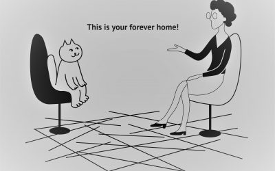 They’re communicating with their animals!
