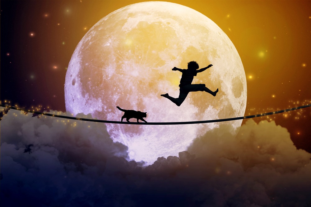 boy and cat with a full moon background