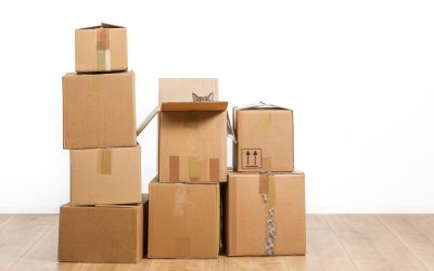 5 Tips for Moving with Your Furry Friend