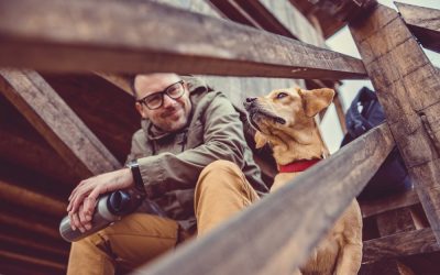Rescue animal or adopted animal? Watch your words!