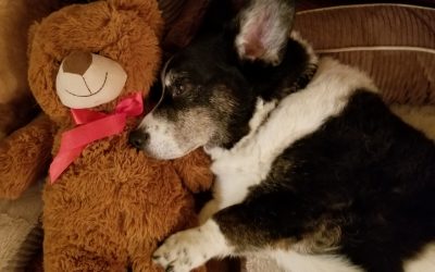 Medical intuition discovers why Harry feels ill