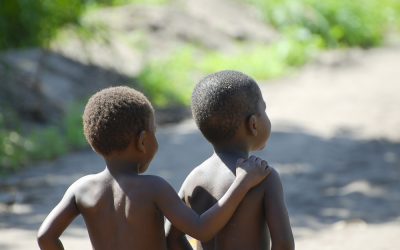 What the Warm Heart of Africa taught an animal communicator