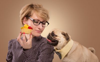 If you dream about cake, you can learn animal communication