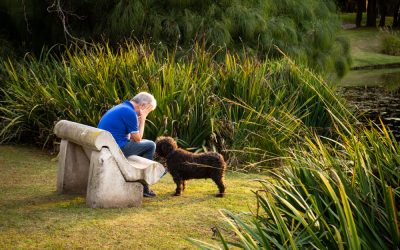 Still grieving the loss of a pet?