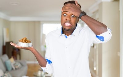 When Your Cat Won’t Eat