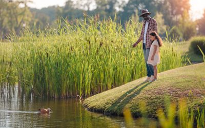 Intuitive Gifts of Nature