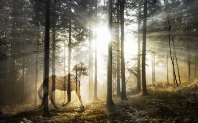 Working through the loss of a loved one