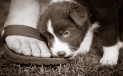 “Remember what Miss Maribeth told you!”