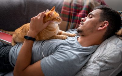 Some of my best friends don’t live with animals