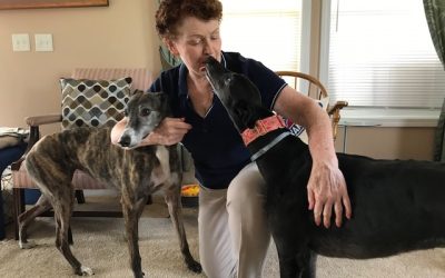 April’s Last Day on Earth