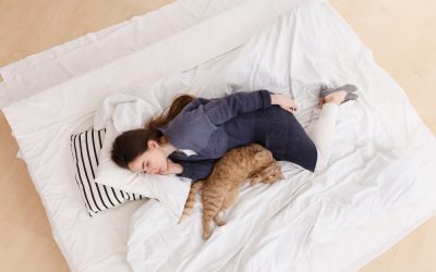 Animal visits after death