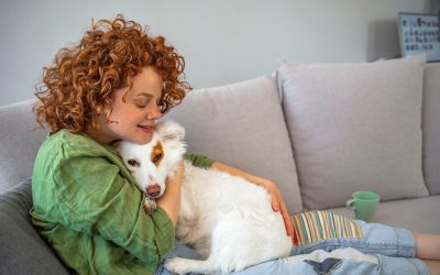 What our ailing animals really want