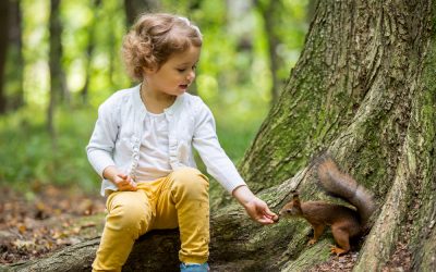 Your first connection with a wild animal