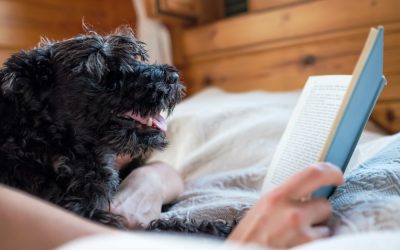 What’s the Canine Language Perception Lab up to?