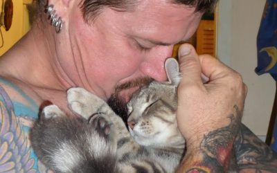 How do you know if your animal has returned?