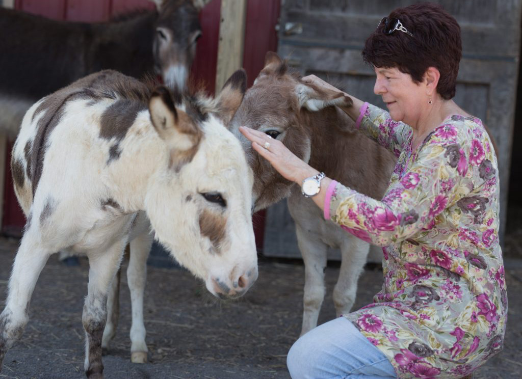 Maribeth and donkeys