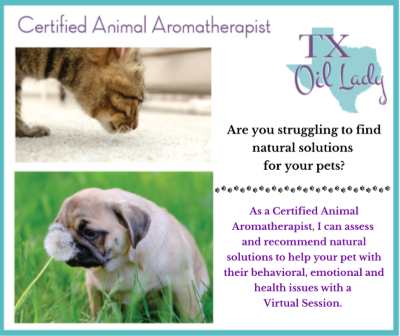 Essential Oils for Pets with Cindy Cowan