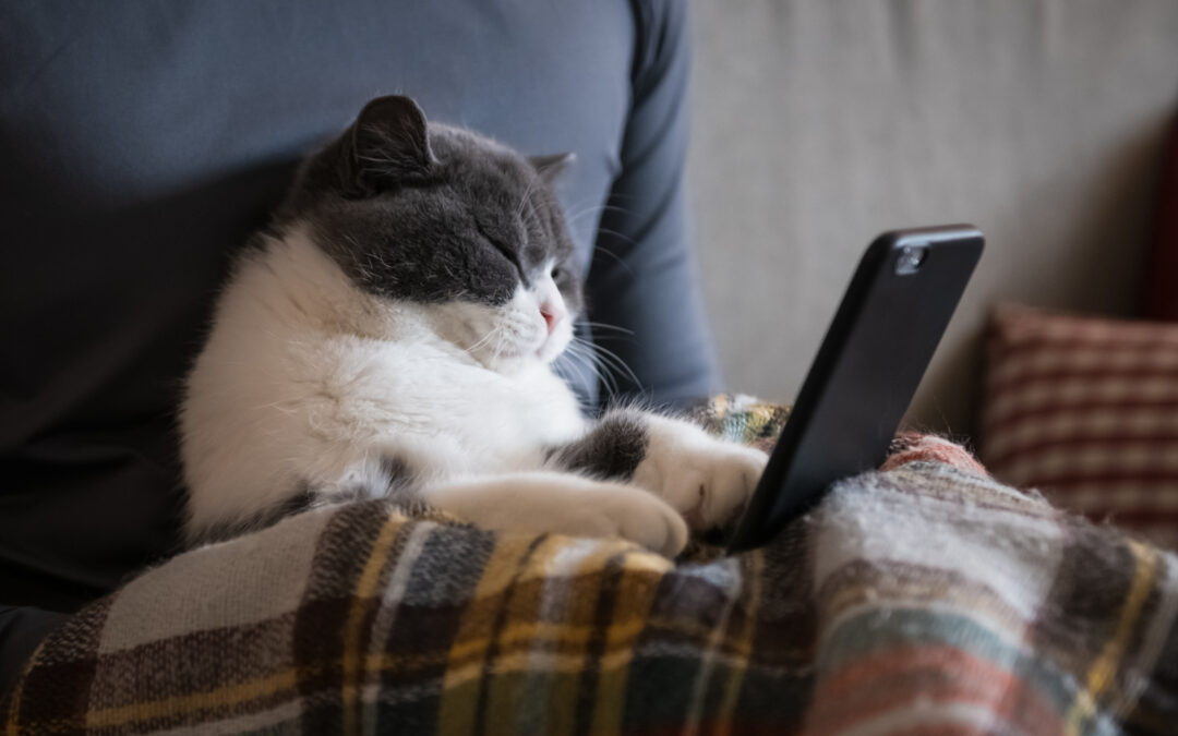 animal communicators