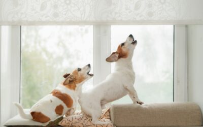 Changing their behavior – not always one and done