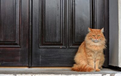 Everyone needs a job