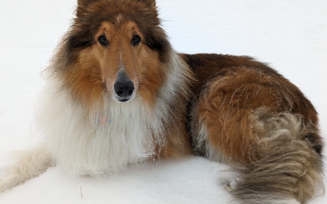 Desmond neurodivergent