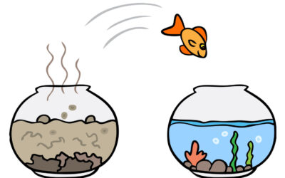 Shifting Timelines: Transforming Through Love and Rescue