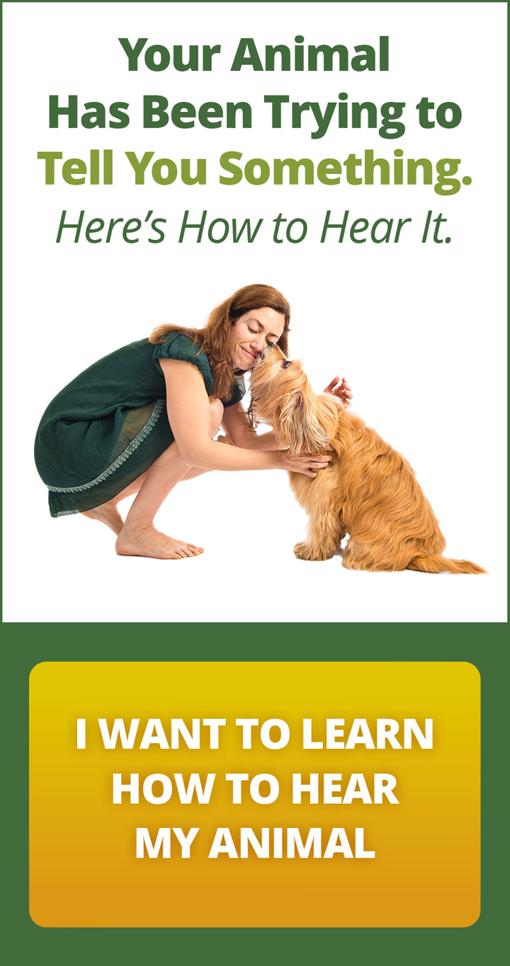I-want-to-learn Sign Up for e-book
