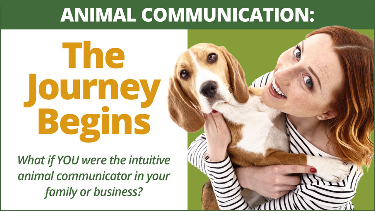 The-Journey-Begins UConnect group program