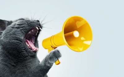 Are they acting out or acting oddly? Sometimes it’s our energy.